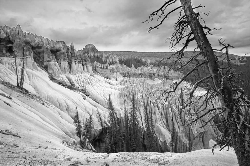Wheeler Geological Area