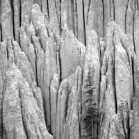 DSC08080 bw.JPG