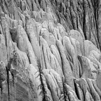 DSC08093bw.jpg