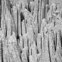 DSC08100 bw.JPG