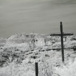 IMG_4398.JPG