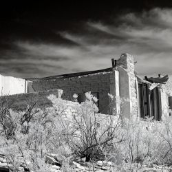 IMG_4407.JPG