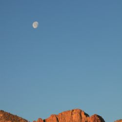 IMG_8137.JPG